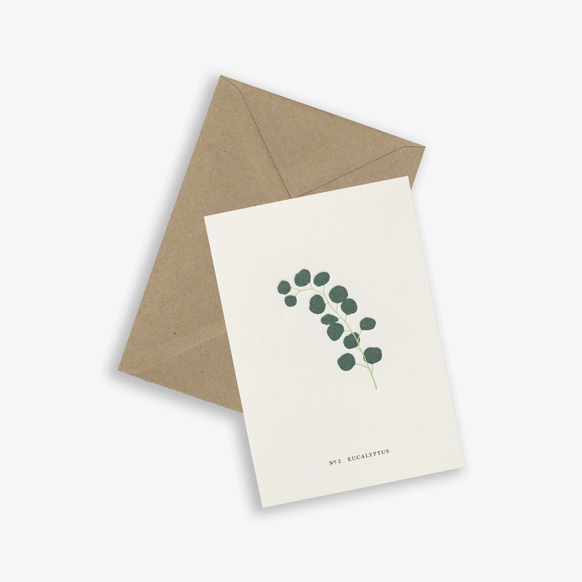 eucalyptus