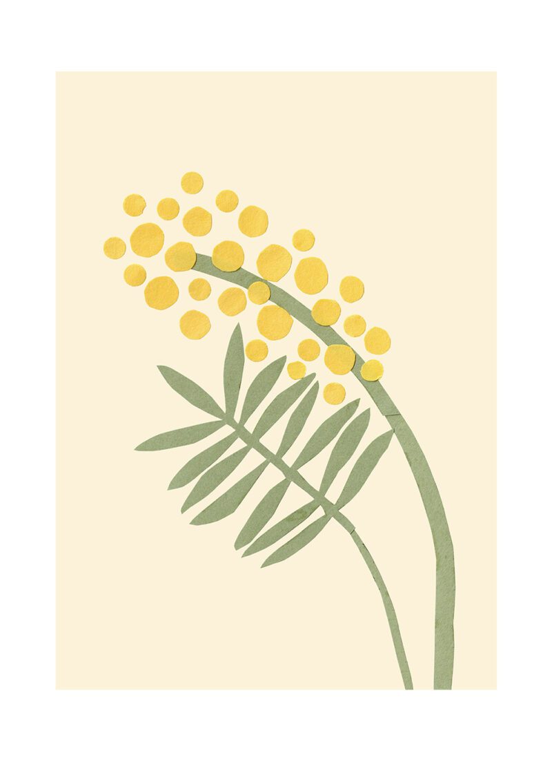 The Poster Club Art card Makitoy Acacia